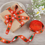 7M Flat Ethnic Style Polyester Ribbon, Jacquard Ribbon, Tyrolean Ribbon, Garment Accessories, Orange Red, 7/8 inch(22mm), about 7.66 Yards(7m)/Roll