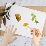 Custom PVC Plastic Clear Stamps, for DIY Scrapbooking, Photo Album Decorative, Cards Making, Stamp Sheets, Film Frame, Ginkgo Leaf, 160x110x3mm