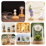 4 Sets Transparent Glass Dome, Bell Jar Cloche Display Cases, with Cork Pedestals, for Plants, Candles Office Home Decor, Clear, 46.5x85mm