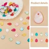 80Pcs 8 Styles Freshwater Shell Dyed Teardrop Charms, Mixed Color, 13x9~10x1~1.5mm, Hole: 1~1.2mm, 10pcs/style