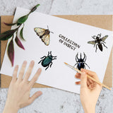 Custom PVC Plastic Clear Stamps, for DIY Scrapbooking, Photo Album Decorative, Cards Making, Stamp Sheets, Film Frame, Insects, 160x110x3mm