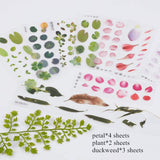 3D Resin Decorations Stickers, DIY Handmade Scrapbook Photo Albums, Mixed Color, 18pcs/set