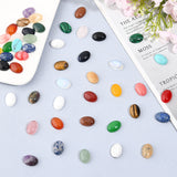 Natural & Synthetic Gemstone Cabochons, Oval, Mixed Dyed and Undyed, 14x10x4~5mm, 48pcs/box