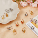 40Pcs 2 Colors 304 Stainless Steel Leverback Earring Settings, Flat Round, Golden & Stainless Steel Color, Tray: 8mm, 18x10x11mm, Pin: 0.7mm, 20Pcs/color