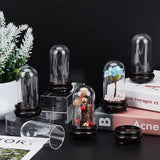 ABS Dome Cover, Decorative Display Case, Cloche Bell Jar Terrarium with Acrylic Base, for DIY Preserved Flower Gift, Black, 48x89mm