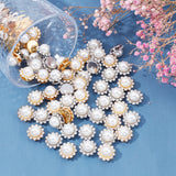 80Pcs 2 Colors Sew on Rhinestone, Resin Rhinestone, with Iron Prong Settings and Plastic Imitation Pearl Beads, Garments Accessories, Faceted, Flower, Platinum & Golden, 16x12mm, Hole: 5x3mm, 40pcs/color