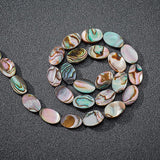 Natural Abalone Shell/Paua Shell Beads, Oval, 10.36x6.3x3.28mm, Hole: 0.5mm