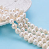 Natural Cultured Freshwater Pearl Beads, Grade A, Potato, Beige,  6~7.5x6.5~9.5x6.5~7.5mm, Hole: 0.8mm, about 49~56pcs/strand, 12.91~14.13 inch(32.8~35.9cm)