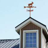 Iron Wind Direction Indicator, Weathervane for Outdoor Garden Wind Measuring Tool, Goat, 254x358mm