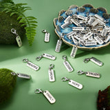 48Pcs 12 Styles Tibetan Style Alloy Rectangle Pendants, with Word, Antique Silver, 8x21x2mm, Hole: 2mm, 4pcs/style