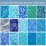 197G 14 Style Glass Round Seed & Bugle Beads, Silver Lined & Lustered & Rainbow & Opaque & Transparent, Blue, 3~8mm, Hole: 0.5~1mm