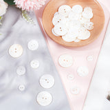 70Pcs 4 Styles 2-Hole Freshwater Shell Buttons, Flat Round, Seashell Color, 10~25x1.5~2mm, Hole: 2mm