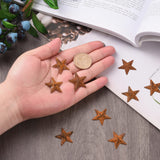 30Pcs Iron Display Decorations, Rusty Metal Star Ornament, Star, Coconut Brown, 26.5x25.5x2.5mm