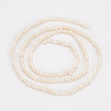 1 Strand Natural Cultured Freshwater Pearl Beads Strands, Potato, Seashell Color, 2~3x2.5~3.5x2.5~3.5mm, Hole: 0.5mm, about 139~140pcs/strand, 13.78 inch(35cm)