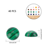 Gemstone Cabochons, Half Round/Dome, 10x4~5mm, 20 materials, 2pcs/material, 40pcs/box