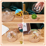 2 Sets High Borosilicate Glass Dome Cover, Decorative Display Case, Round Cloche Bell Jar Terrarium with Cork Base, Clear, 100mm