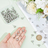50Pcs 304 Stainless Steel Stud Earring Findings, Ball Stud Earring Finding Post with Ear Nuts and Horizontal Loops, Textured, Round, Stainless Steel Color, 12x8mm, Hole: 2.7mm, Pin: 0.7mm