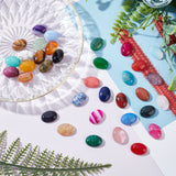 35Pcs 35 Style Natural & Synthetic Gemstone Cabochons, Oval, 18x13x5~8mm, 1pc/style