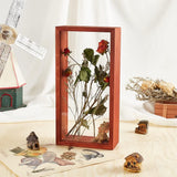 Rectangle Wood Shadow Box Frames, Desk Display Cases, with Double-sided Acrylic Clear Window, for Memorabilia Pictures Medals Plant Specimen Dry Bouquet, Saddle Brown, 130x260x60mm