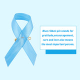 Polyester Brooch, with Iron Safety Pins, Awareness Ribbon, Sky Blue, 65x35x1.5mm, 90pcs/set
