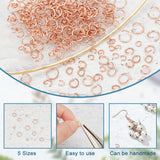 304 Stainless Steel Jump Rings, Open Jump Rings, with Bead Container, Rose Gold, 6.8x5.2x1.1cm, 250pcs/box