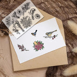 Custom PVC Plastic Clear Stamps, for DIY Scrapbooking, Photo Album Decorative, Cards Making, Stamp Sheets, Film Frame, Bird, 160x110x3mm