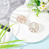 2Pcs Alloy Rhinestone Shoe Decorations, Detachable Shoe Buckle Clips, with Iron Findings, Flower, Rose Gold, 45x18mm