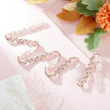 1 Yard Crystal Hotfix Rhinestone Bridal Belt Trim Chain, Polyester Rhinestone Appliques, Rose Gold, 13~14x4.2mm