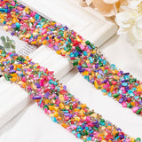 Resin Hotfix Rhinestone Beaded Trim, with Chips Shell Beads, Iron On Applique Chain Sewing Accessories, for Clothes Bag Shoes Wedding Party Decoration, Colorful, 37x2~7mm