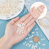 DIY Stretch Bracelets Making Kits, Including 3 Strands Shell Beads Strands and 1 Roll Clear Elastic Crystal Thread, Seashell Color, 4.9~6x0.4~6mm, Hole: 1.4mm,  about 15.94 inch~16.14 inch(40.5~41cm)