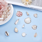 Electroplate Natural Shell Pendants, with Golden Plated Iron Findings, Mixed Shapes, Seashell Color, 20pcs/box