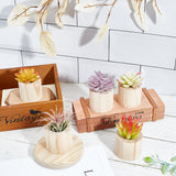 Wooden Wood Air Plant Holder, Tillandsia Stand, Succulent Pot, Column, Blanched Almond, 58x50mm