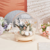 Glass Dome Cover, Ball-Shaped Handle Decorative Display Case, Cloche Bell Jar Terrarium with Wood Base, Tan, Finish Product:150x160mm