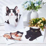 3 Sheets 3 Styles PVC Waterproof Self-Adhesive Stickers, Frosted 3D Cat Decals for Car, Motocycle Decor, Mixed Color, 212x166x0.2mm, Stickers: 165~209x153~214mm, 1 sheet/style