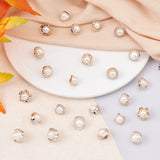1-Hole Plastic Button Kits, Imitation Pearl Button, for Clothing Decoration, Mixed Shapes, Seashell Color, 10pcs/style