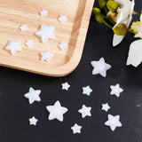 5 Style Opaque Acrylic Cabochons, Imitation Pearl, AB Color Plated, Star, White, 176pcs/box