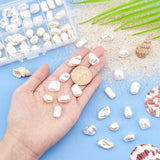 64Pcs 8 Styles ABS Plastic Imitation Pearl Beads, Mixed Shapes, Mixed Color, 6~16x9~14.5x4~10mm, Hole: 1.2~1.8mm, 8pcs/style