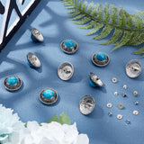 10 Sets Alloy Buttons, with Imitation Synthetic Turquoise & Iron Screw, Flat Round, Antique Silver, 25x14mm
