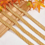 Polyester Braided Lace Trim, Sewing Centipede Lace Ribbon, for Clothes Accessories and Curtains Accessories, Gold, 5/8 inch(15mm), about 13.12 Yards(12m)/Roll