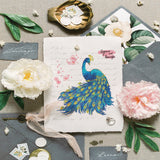 PVC Sakura Stamp, for DIY Scrapbooking, Peacock, 100x100mm