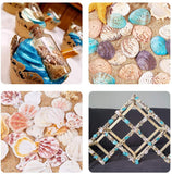 Natural Spiral Shell Beads, No Hole, Lemon Chiffon, 7~12x3~7x3~7mm, about 1400~1500pcs/box