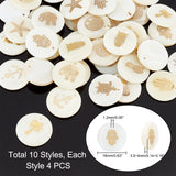 40Pcs 10 Style Natural Freshwater Shell Pendants, Flat Round, Golden, 16x3.5~4mm, Hole: 1.2mm