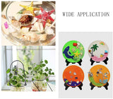 Spiral Shell Beads, Undrilled/No Hole Beads, Colorful, 5~12x4~10x2~5.5mm