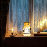 PVC Lamp Film for DIY Colorful Light Hanging Lamp Frosted Glass Jar, Unicorn, 200x90mm, 6pcs/set