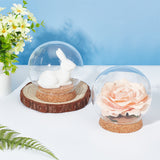 Round Glass Dome Cover, Decorative Display Case, Cloche Bell Jar Terrarium with Wood Base, for DIY Preserved Gift, Peru, 110x108mm, Inner Diameter: 74mm