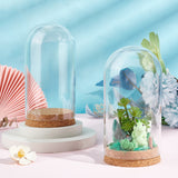 Glass Dome Cover, Decorative Display Case, Cloche Bell Jar Terrarium with Cork Base, Clear, 160mm