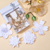 Trendy Charm Bracelets, with Conch, CCB Plastic and Rhinestone Starfish, Glass Pearl Pendants, Iron & Brass Findings and Cardboard Jewelry Set Boxes, Golden, 7-3/8 inch(18.7cm)