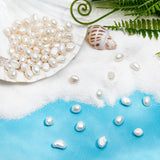 2 Strands Natural Cultured Freshwater Pearl Beads Strands, Two Sides Polished, Seashell Color, 8~9x5~7mm, Hole: 0.8mm, about 46pcs/strand, 13.77 inch~14.17 inch