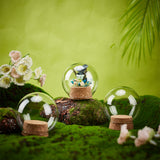 6 Sets Glass Dome Cover, Decorative Display Case, Cloche Bell Jar Terrarium with Cork Base, Round, Clear, 64.5x70.5mm, Inner Diameter: 39mm