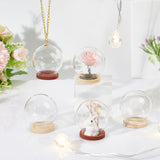 6Pcs 2 Colors Glass Dome Cover, Decorative Display Case, Round Cloche Bell Jar Terrarium with Wooden Base, Mixed Color, 4cm, 3pcs/color